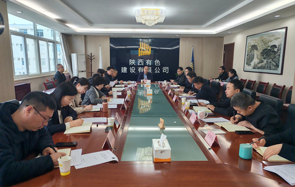 公司召開黨委理論學(xué)習(xí)中心組（擴(kuò)大）學(xué)習(xí)會傳達(dá)學(xué)習(xí)全國兩會精神